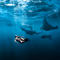 She and the Wild Sea by Brandon Verdura