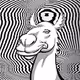 Trippy Camels