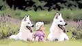 Scenic Direwolves - Mu36Ab4zMM
