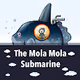 The mola mola submarine - old