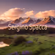 serginospacca Collection