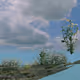 New Landscapes 2023 by Petra Cortright