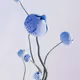 Corona Florella DAFA
