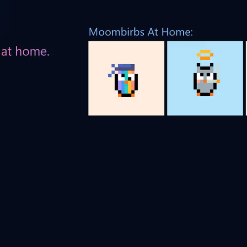 3 Moonbirds At Home floor 0.0002