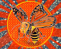 Animal Go Fly - old