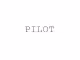 Pilot Project