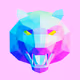 Polygonal Models