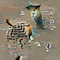 Confused Cryptic Cat