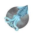 OOPS Squid
