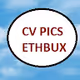 test V25