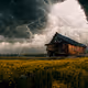 Landscapes with cabins