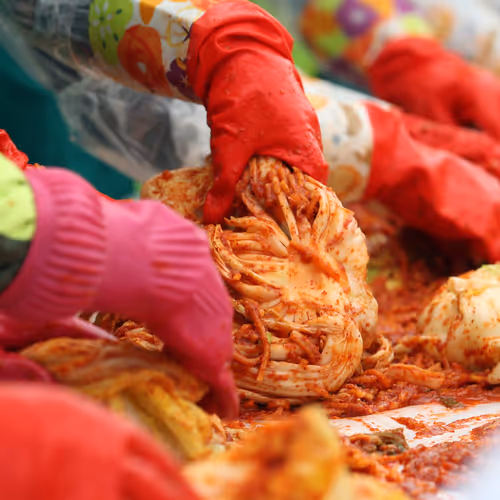 spicykimchi Collection