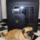 Best Hardware For Mining Ethers, With Dog For Scale