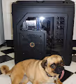 Best Hardware For Mining Ethers, With Dog For Scale