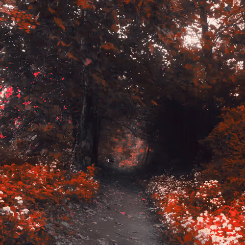 Tranquility Editions