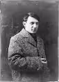 Picasso Pixelated