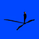 AIRIUM