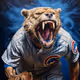 Chicago Sports Collection
