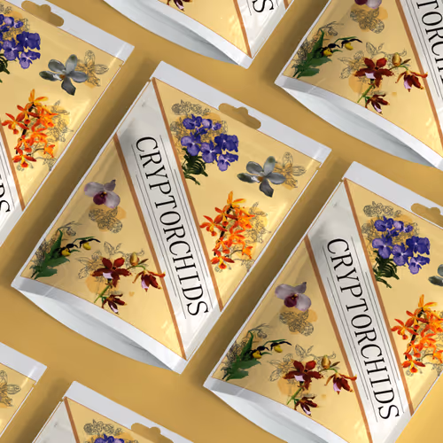 3 CryptOrchids floor 0