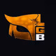 LGB Ordinals