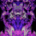 APOPHENIA: PAREIDOLIA