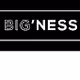 BIGness