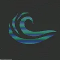WAVY Store