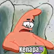 Kenapa LLC