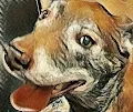 Allery's Animals - old
