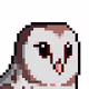 CryptOwl Punks