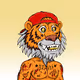 Brave Tigers Official