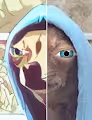 Hoods