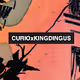 CURIOxKINGDINGUS