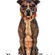 Rustdawg
