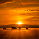 Sun of Africa