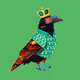 King of Bitchain