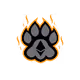 Crypto Tigerz NFT