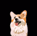 OGDoggos