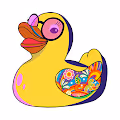 DUCKCHAIN DUCKS CLUB