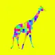 Crypto Colores
