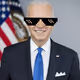 The Biden Digital Trading Cards