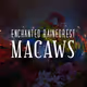 Enchanted Rainforest Macaws