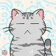 Cute cat in the dark