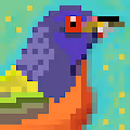 Birds of the Cargo Cult