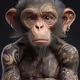 Monkey evolutions