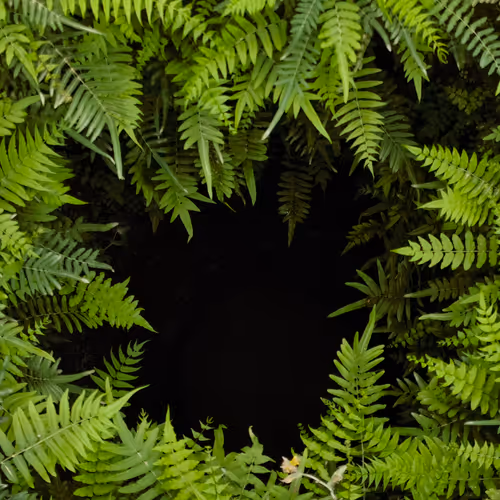 New Day, Rebirth Series 2022