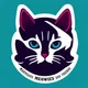 Marvelous Meowies