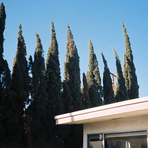 wwwphotograph editions