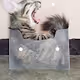 cat box family - old