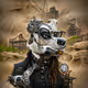 Ai Hounds Project X